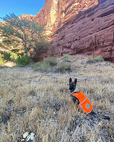 Blaze Orange Dog Vest. Reflective High Visibility in Hunting & Wooded Areas - size: Large