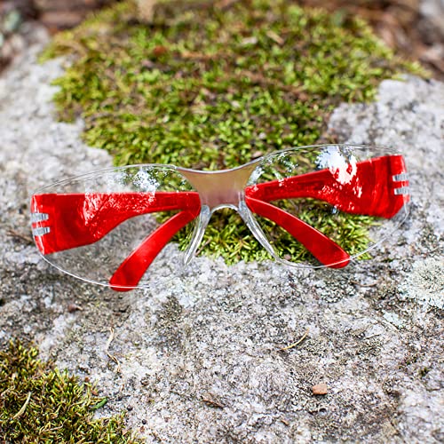 BISON LIFE Clear/Red Safety Glasses for Men & Women, ANSI Z87.1, 12 Pack - color: Clear/Red