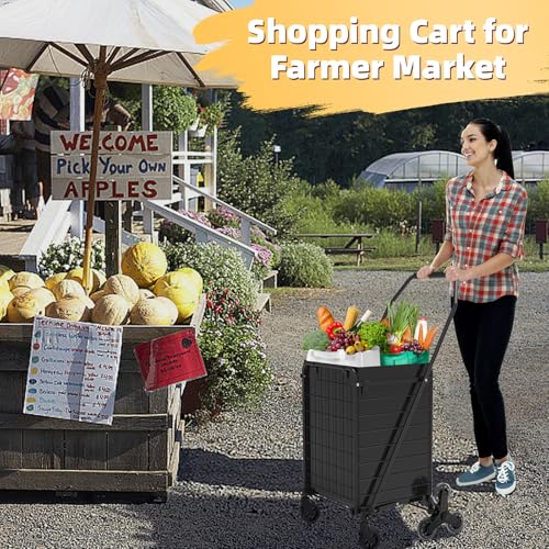 JIALIJIU Folding Stair Climber Cart with Waterproof Bag