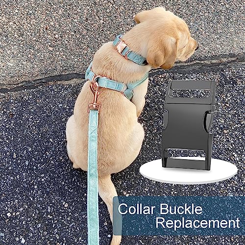 CooBigo 10 Pack Bulk Dog Collar Hardware Metal Buckle 1 inch Webbing Backpack Buckle Replacement Backpack Strap Kit Prong Collar Clip Buckles(GunBlack) - color: 10pcs 1" Gunblack
