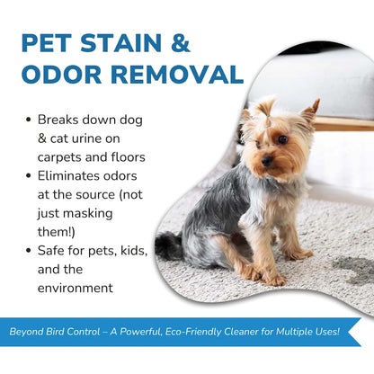 Bird Barrier Dissolve-It Max Enzyme Cleaner - Bird Dropping Cleaner - Dissolves Waste – Treat Affected Areas Before Installing Bird Control Products - Cleans pet stains - 1 Pint Makes 1/2 Gallon - size: 16 Fl Oz (Pack of 1), style: 3:1 Concentrate