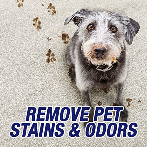 Resolve Ultra Pet Odor and Stain Remover Spray – Carpet Cleaner for Cat and Dog Urine and Poop, 32oz (Pack of 2) - size: 32 Ounce (Pack of 2)