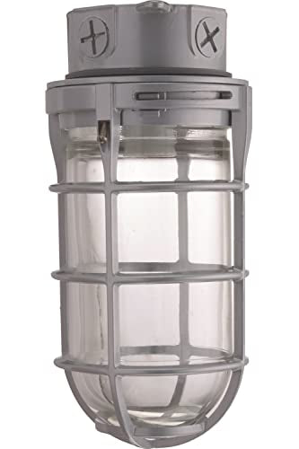 Lithonia Lighting Incandescent Vapor Tight Jelly Jar Light 150W 120V Grey - size: 150W Max, style: Ceiling Mount
